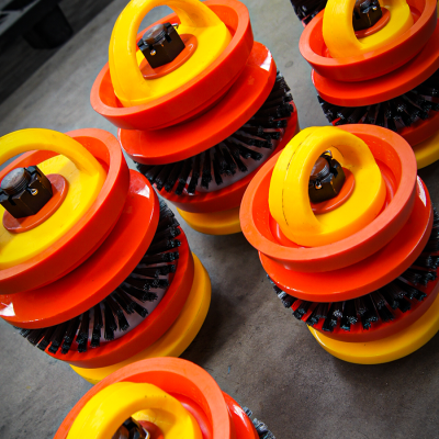 PIGVALVE1