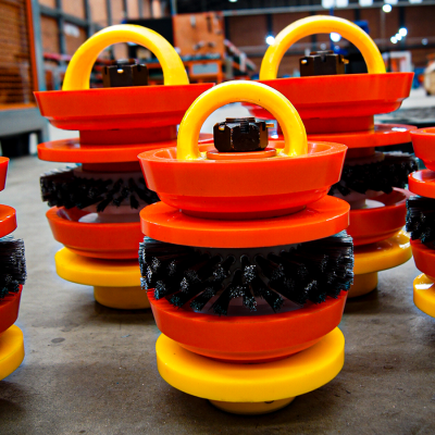 PIGVALVE3